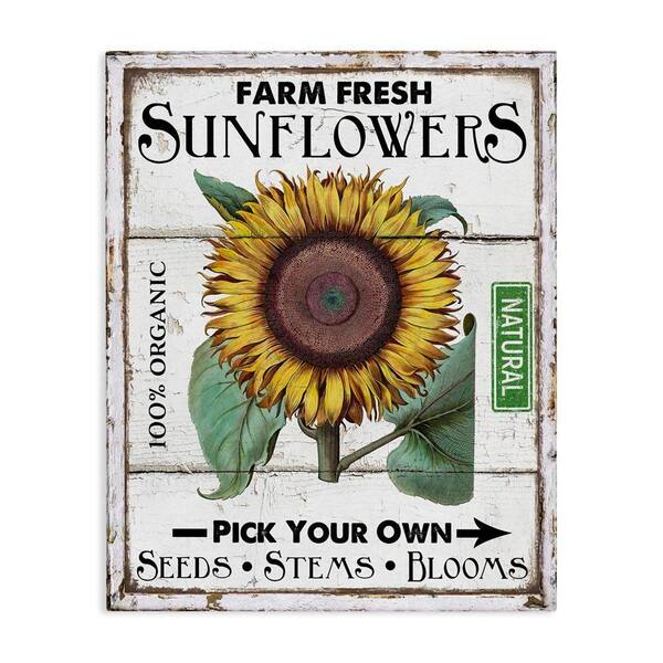Rustic Farm Fresh Sunflowers by Creatif Belle Unframed Nature Graphic Art Print 30 in. x 24 in.