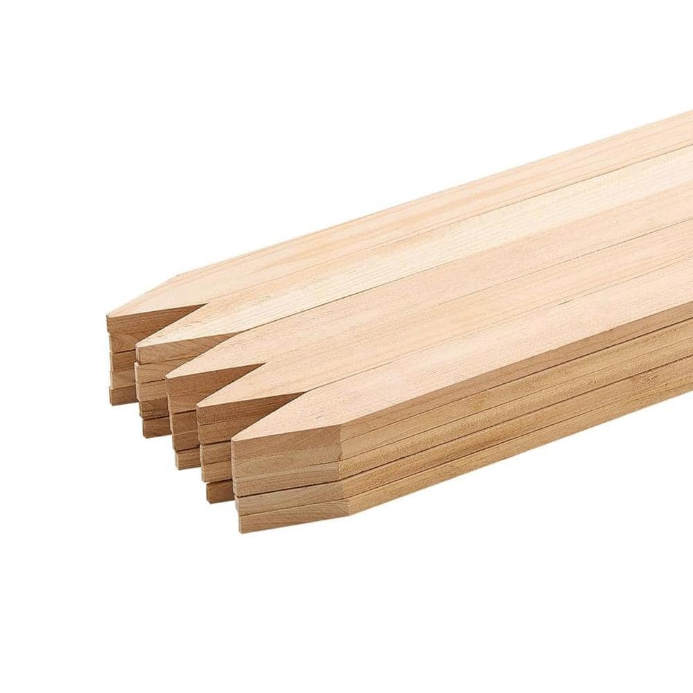 spca 24 in. x 0.5 in. x 1.5 in. Fir Wood Garden Stakes with Sharp