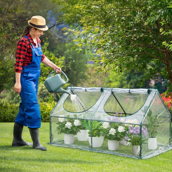 Aoodor 4 ft. W x 2 ft. D x 2 ft. H Portable Mini Greenhouse Kit
