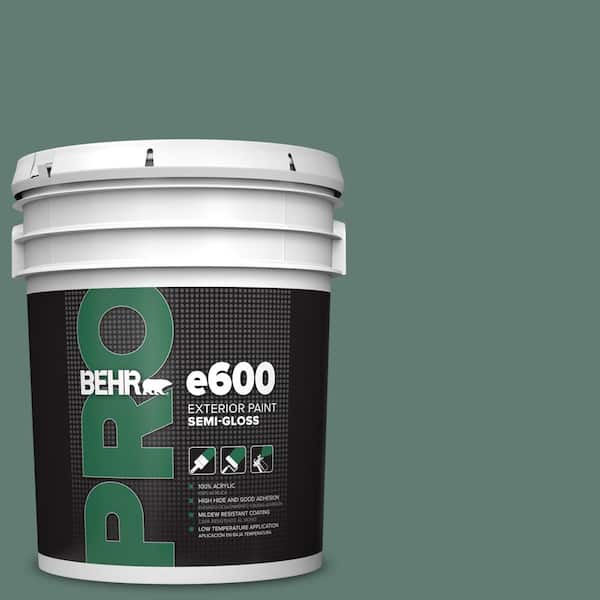 5 gal. #S430-6 Forest Edge Semi-Gloss Exterior Paint