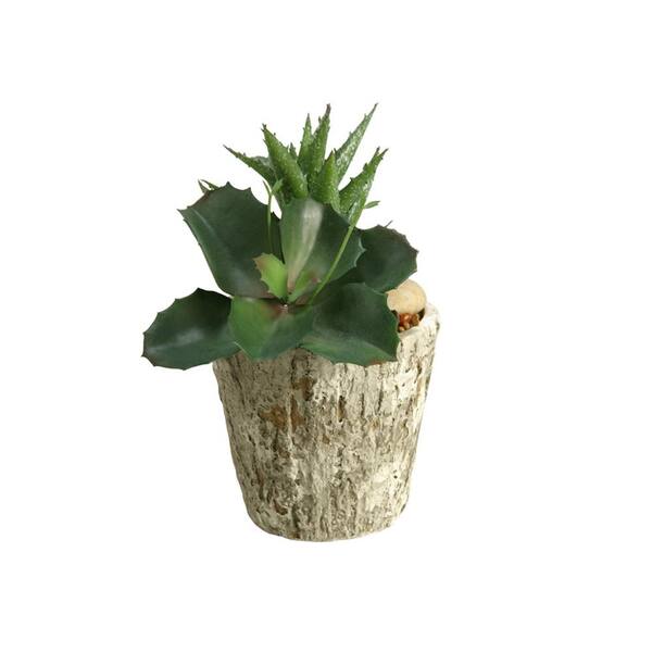 D&W Silks Artificial Indoor Wild Succulent and Aloe in Cement Planter
