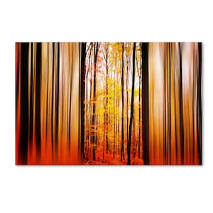 12 in. x 19 in. "Excited Oxygen" by Philippe Sainte-Laudy Printed Canvas Wall Art