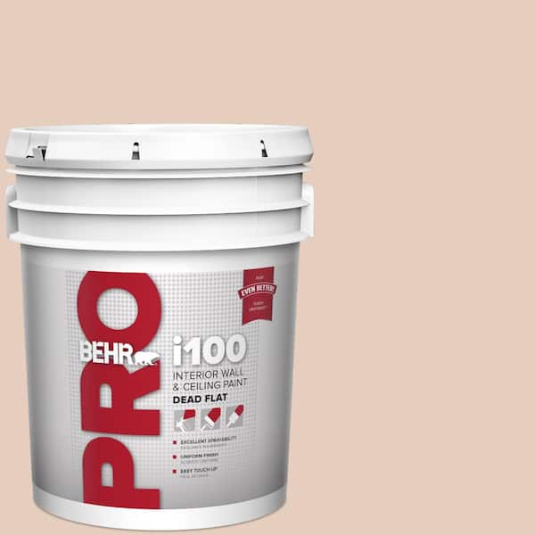 5 gal. #T17-05 Life is a Peach Dead Flat Interior Paint