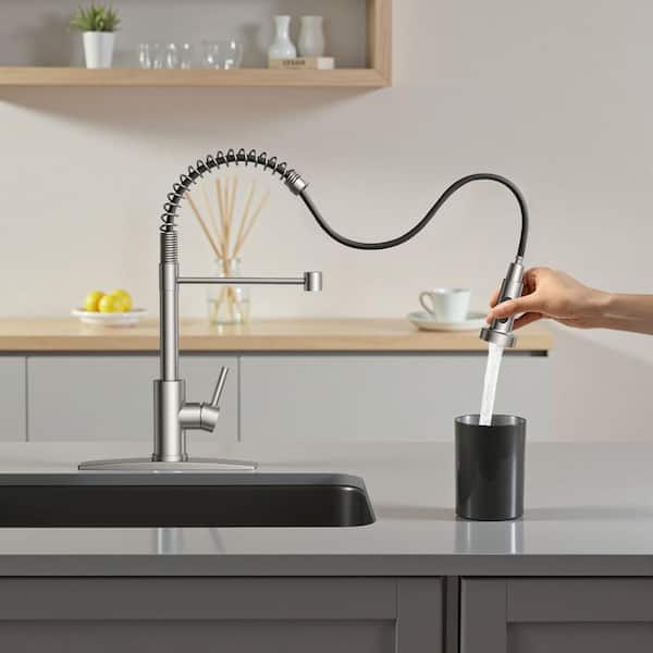 ANZA Single Handle Pull Down Sprayer Kitchen Faucet with Advanced
