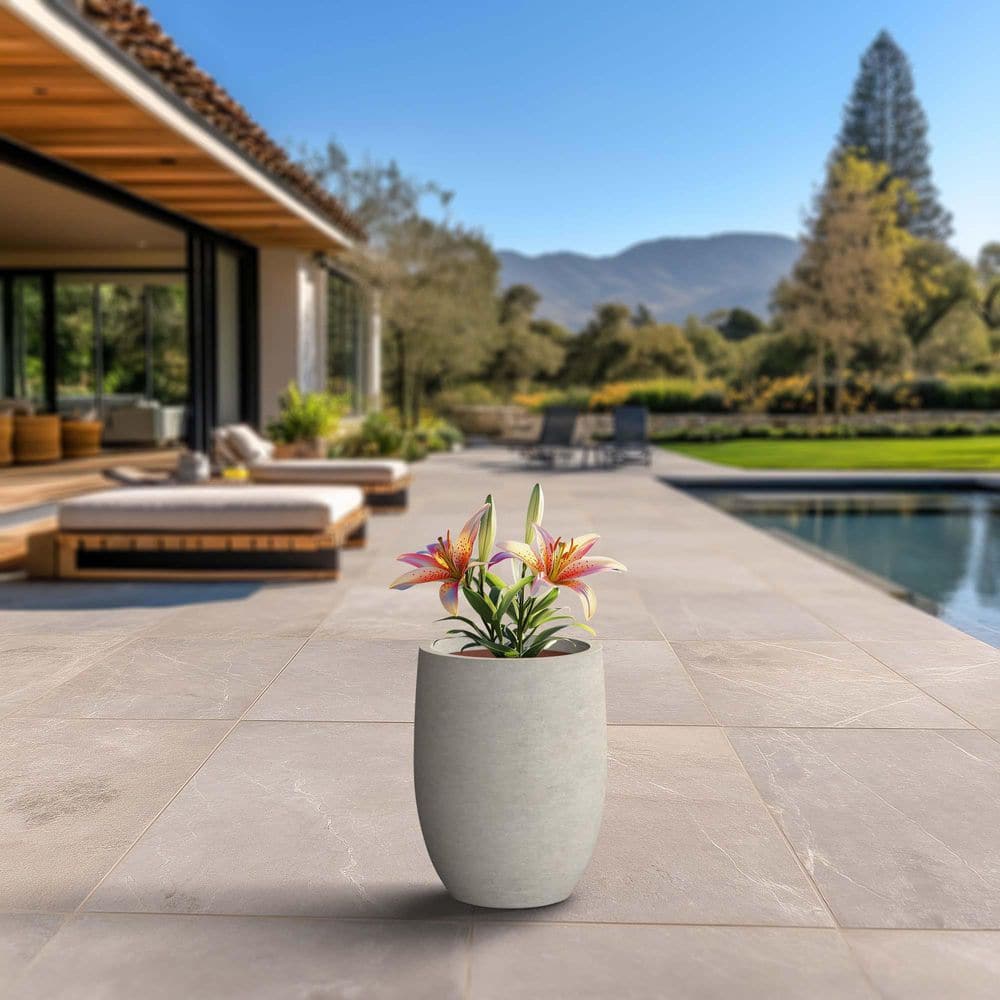 13 in. Large Light Gray (Enhanced Interior) Concrete Round Planter / Pot with Drainage Holes price history on PriceWatchPro