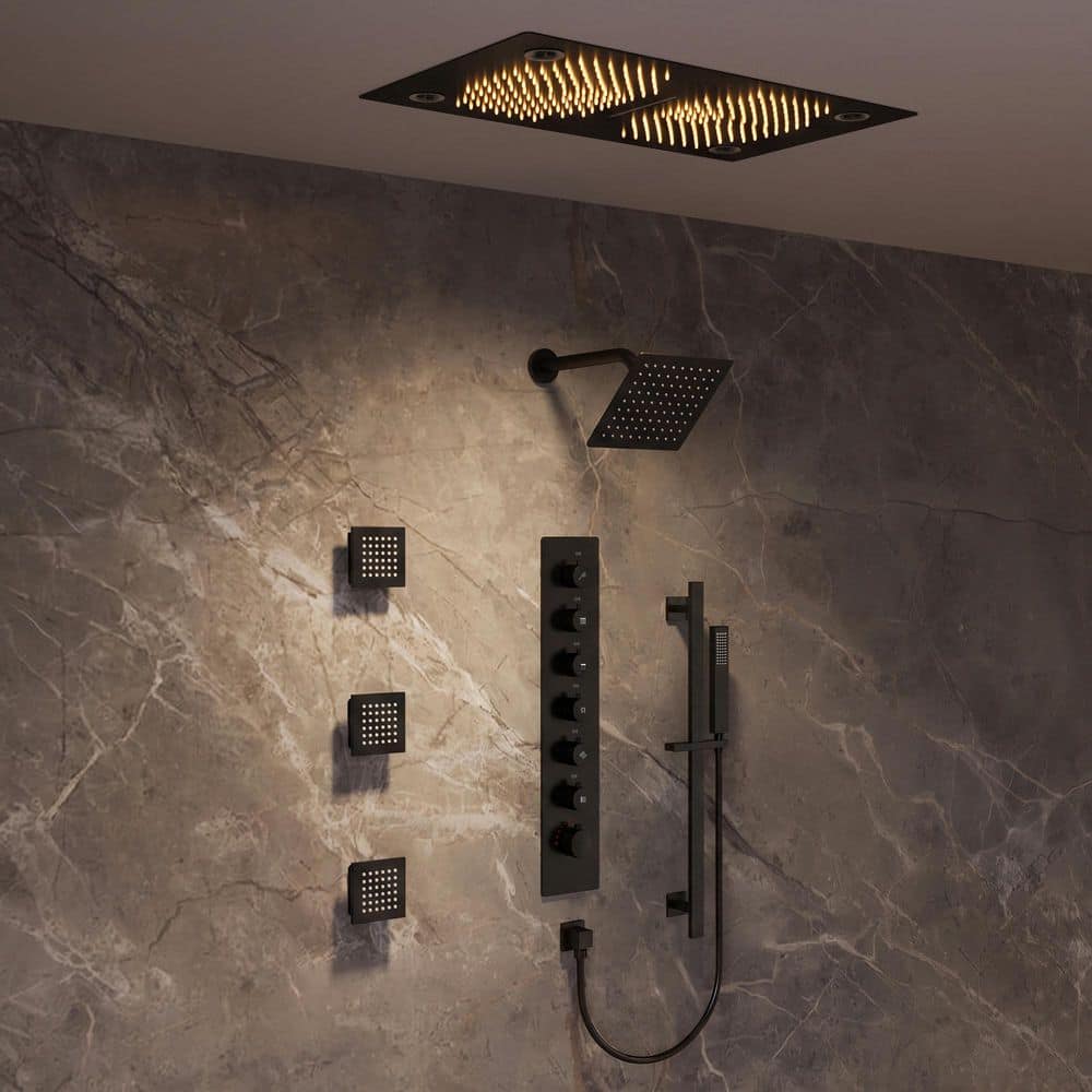 EVERSTEIN Large 63-Spray 28L in. and 8 in. Dual ShowerHead Ceiling