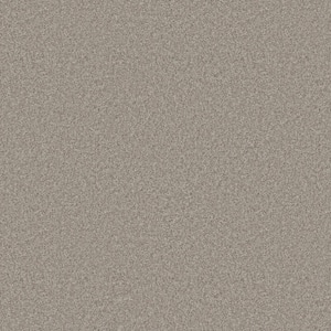 Rosemary II - Nile-Beige 12 ft. 56 oz. High Performance Polyester Texture Installed Carpet