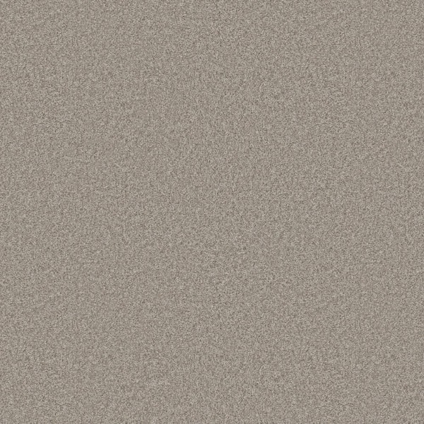 Lifeproof Rosemary III - Nile-Beige 12 ft. 66 oz. High Performance Polyester Texture Installed Carpet