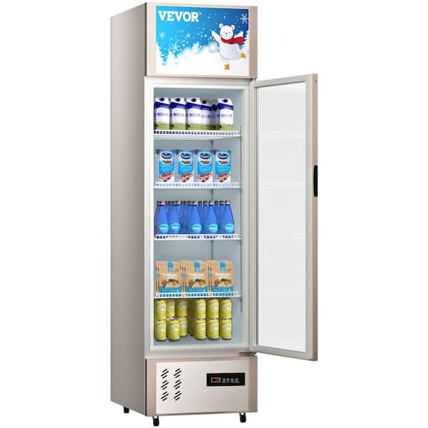 Single Door Refrigerated Frezzer Commercial Refrigerator For Fruits And  Vegetables Commercial Vertical Fridge Refrigerator - AliExpress