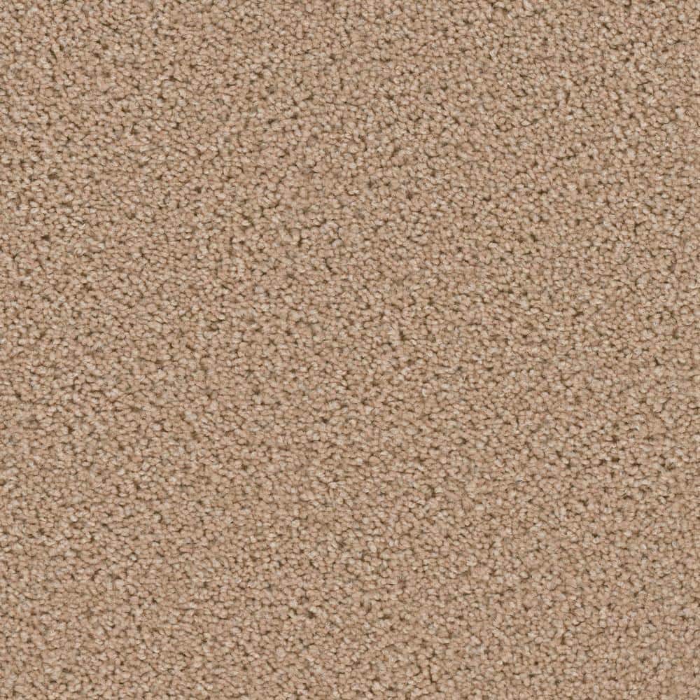 8 in. x  8 in. Texture Carpet Sample - Added Value -Color Dignity price history on PriceWatchPro