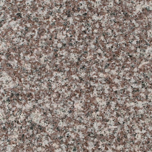 Stonemark Granite 3 in. Granite Countertop Sample in Bainbrook Brown