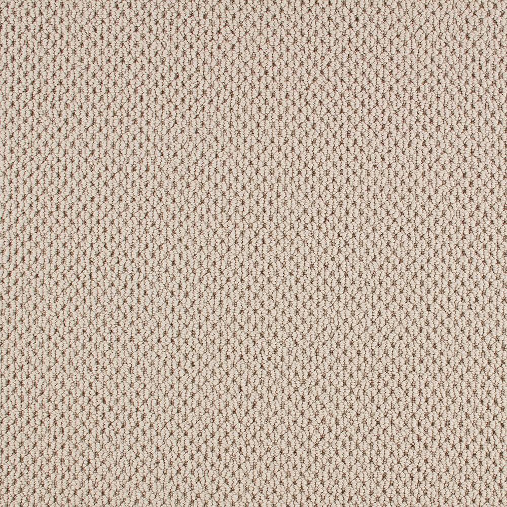 8 in. x 8 in. Pattern Carpet Sample - Beyond Cozy -Color Comfy price history on PriceWatchPro