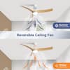 ceiling-fans-with-lights-cfyxc-52br-f-4f.2