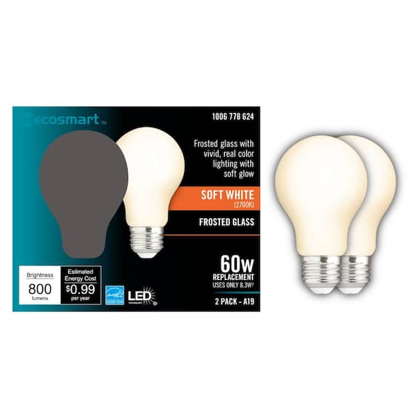EcoSmart 60-Watt Equivalent A19 Dimmable CEC Frosted Glass Filament LED Light Bulb Soft White (2-Pack)