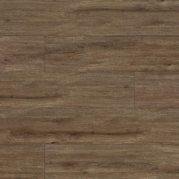 MSI Take Home Sample - Celestsa Nutmeg 4 in. x 4 in. Matte Ceramic Floor and Wall Tile