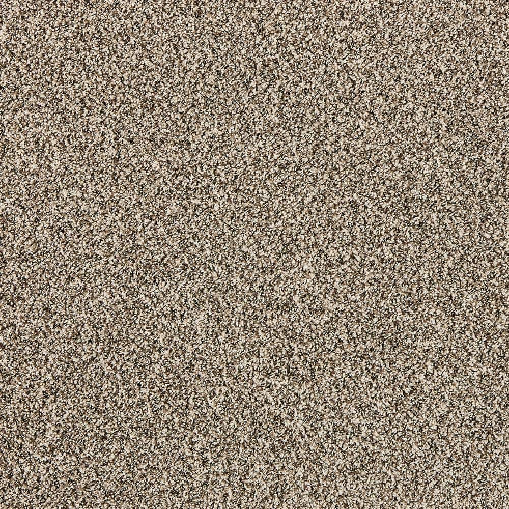8 in. x 8 in. Texture Carpet Sample - Radiant Retreat II - Color Sienna price history on PriceWatchPro