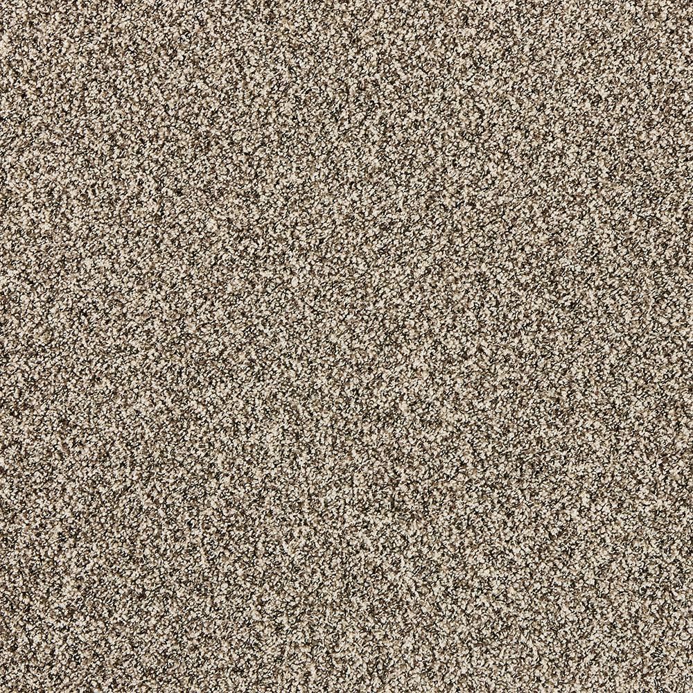 8 in. x 8 in. Texture Carpet Sample - Radiant Retreat I  - Color Sienna price history on PriceWatchPro