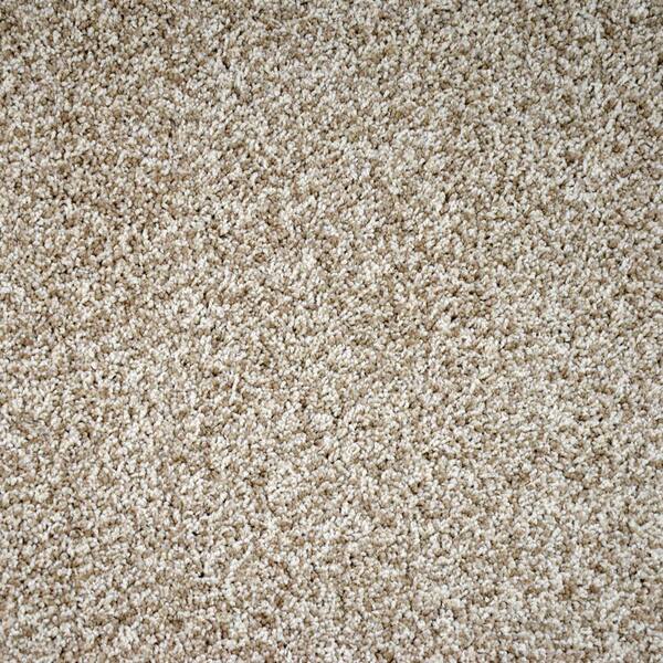 TrafficMaster Carpet Sample - Precipice - Color High Point Texture 8 in. x 8 in.