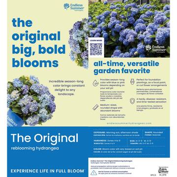 2 Gal. The Original Reblooming Hydrangea Flowering Shrub with Pink or Blue Flowers
