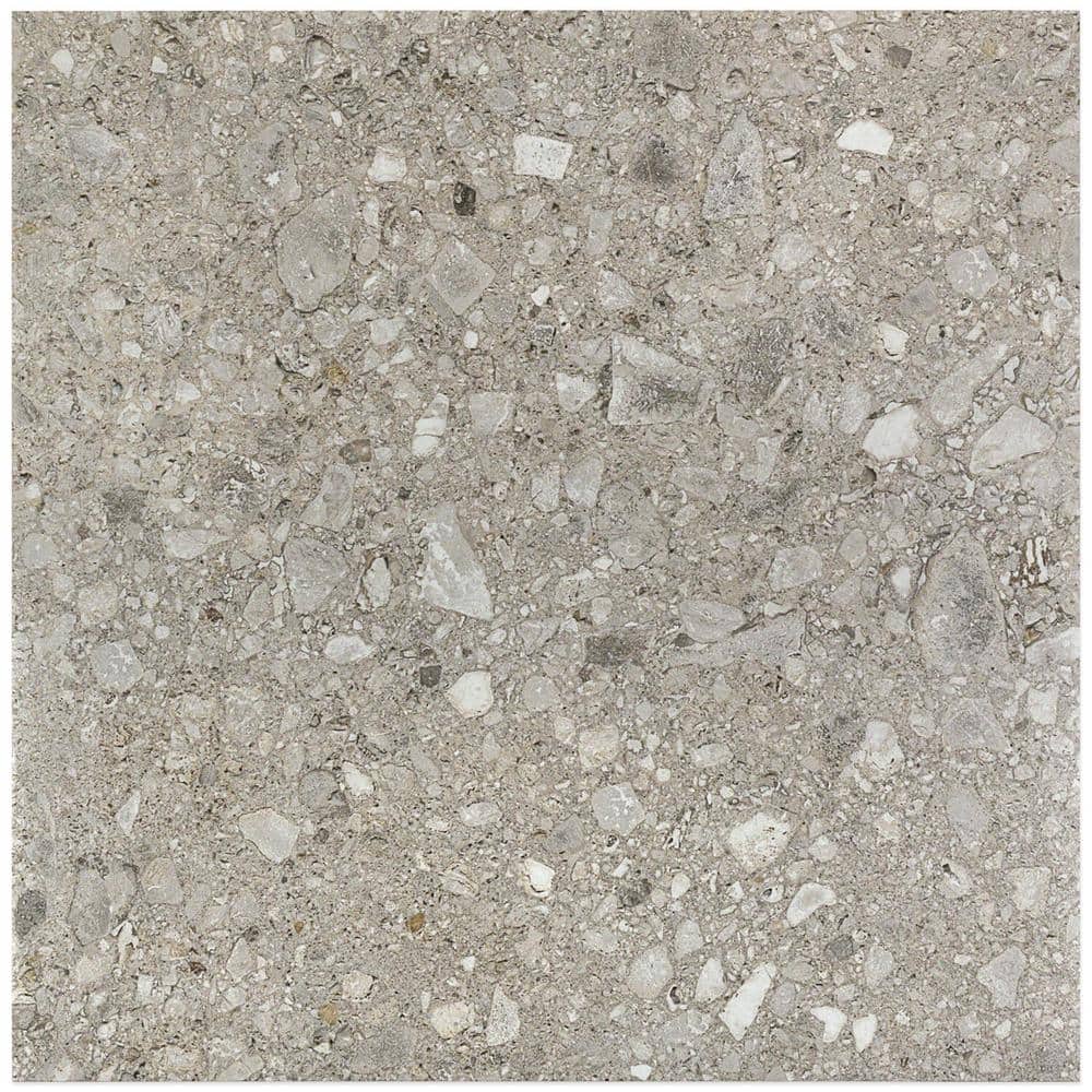 Rizzo Gray 4 in. x 8 in. x 9 mm Semi Polished Porcelain Floor and Wall Tile Sample price history on PriceWatchPro