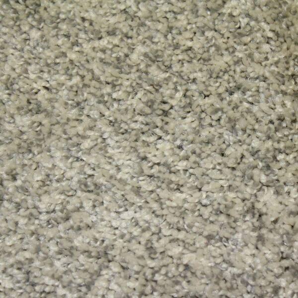 Home Decorators Collection Shackelford I - Color Admirable Indoor Texture Beige Carpet