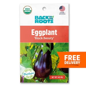 Organic Black Beauty Eggplant Seed (1-Pack)