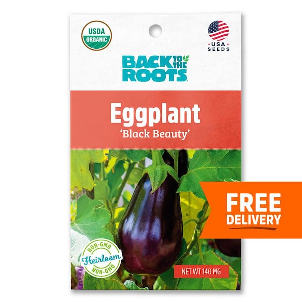 Back to the Roots Organic Black Beauty Eggplant Seed (1-Pack)