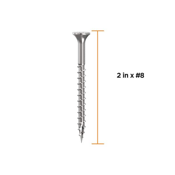 2 in. #8 316 Stainless Steel Premium Star Drive Bugle-Head Deck Screws (100-Count)