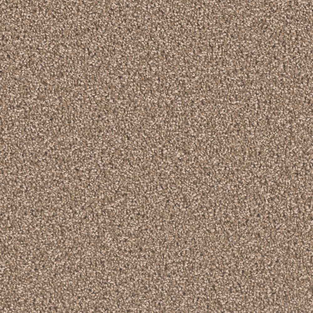 8 in. x  8 in. Texture Carpet Sample - Delicate Flower -Color Modest price history on PriceWatchPro