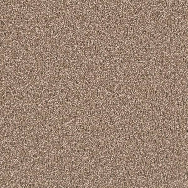 Home Decorators Collection Delicate Flower  - Modest - Beige 40 oz. SD Polyester Texture Installed Carpet