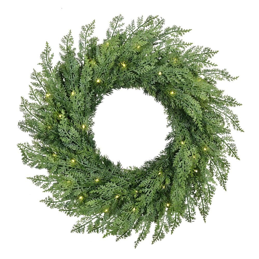 24 in. Pre-Lit Battery-Operated Flocked Artificial Christmas Wreath with Twinkle Rice Lights price history on PriceWatchPro