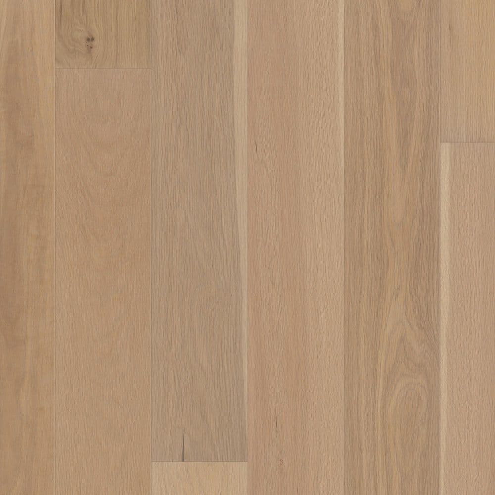 Take Home Sample-Cambrick Oak Estate White Oak Tongue and Groove Water Resistant Engineered Hardwood Flooring price history on PriceWatchPro