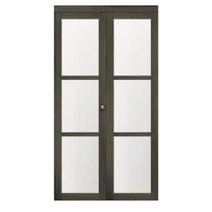 24 in. x 80.5 in. 3/4 Lite Frosted Glass Solid MDF Core Iron Age Finished MDF Bi-Fold Closet Door