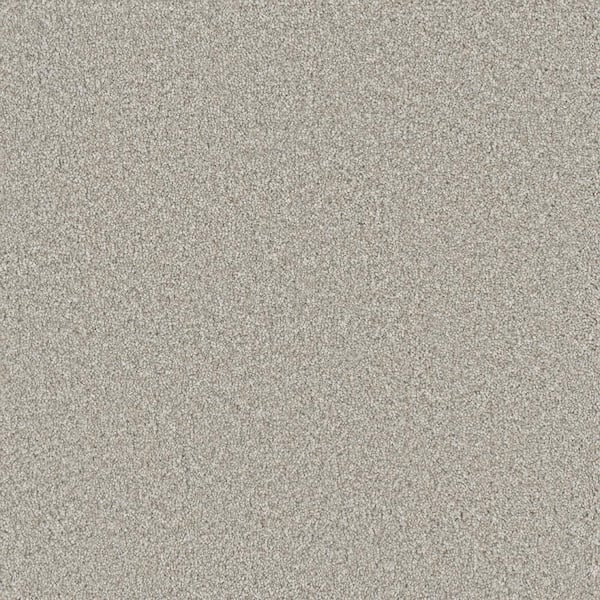 Lifeproof Hazelton II - Famed - White 50 oz. SD Polyester Texture Installed Carpet