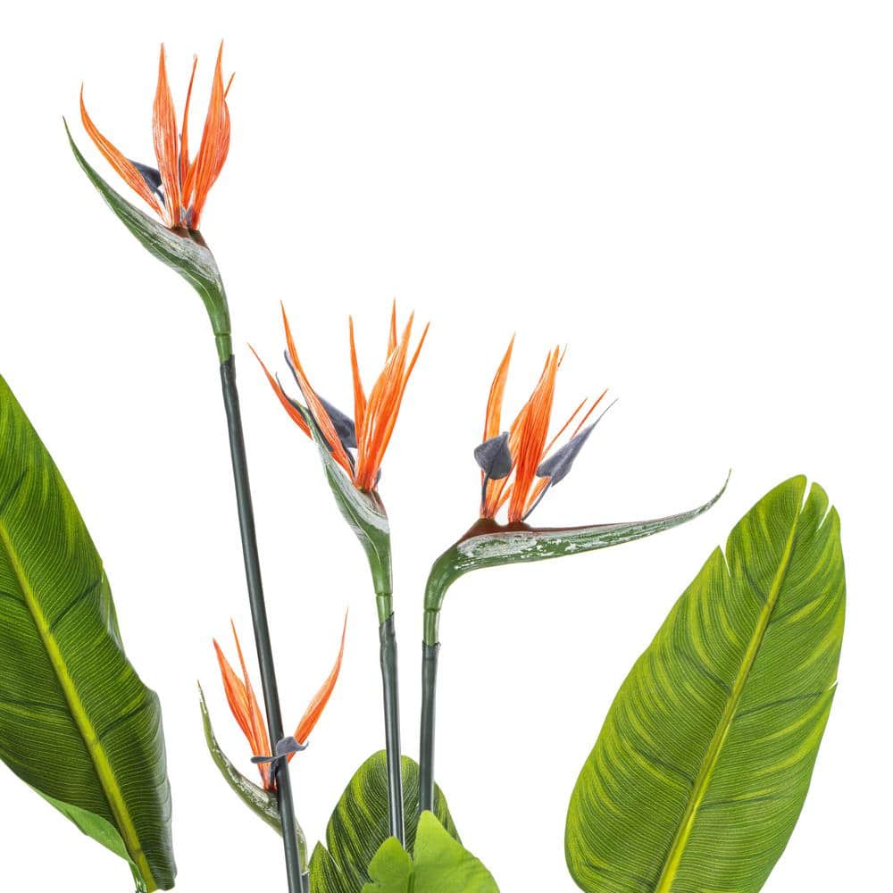 Tiny Green Plastic Bird of Paradise Floor Plant