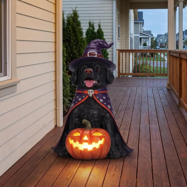 Resin Halloween Black Labrador Retriever Dog Statue, Large Sitting Dog Figurine with LED Light Up Jack-O-Lantern Pumpkin