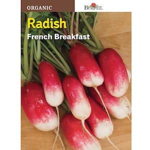 Organic Radish French Breakfast Seed