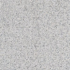 Port Abigail I  - Midway - Gray 45 oz. SD Polyester Texture Installed Carpet
