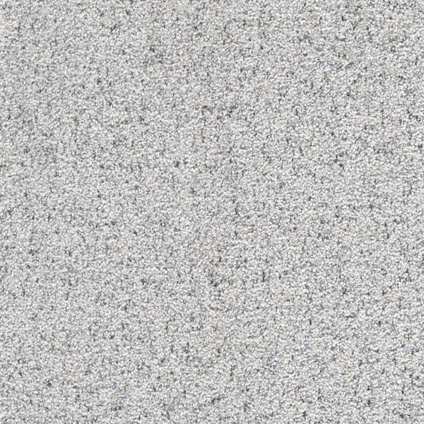 Home Decorators Collection Port Abigail II  - Midway - Gray 60 oz. SD Polyester Texture Installed Carpet