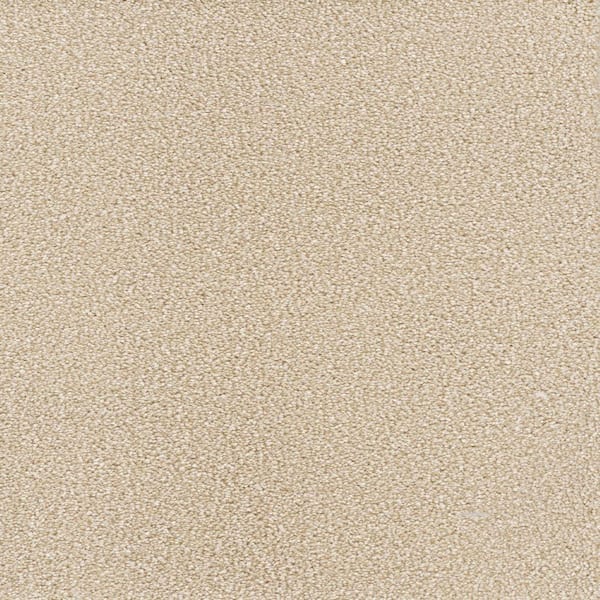 Home Decorators Collection 8 in. x 8 in. Texture Carpet Sample - Spicework I -Color Highgate