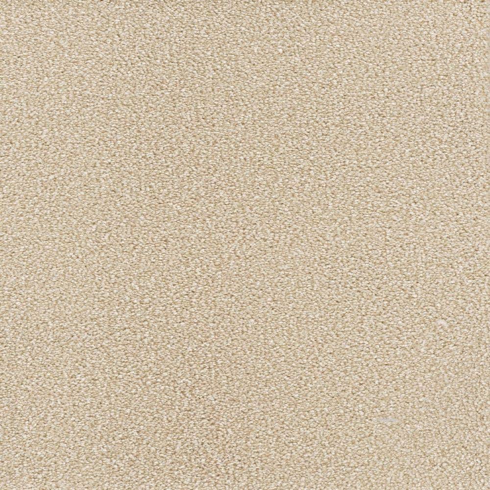 8 in. x  8 in. Texture Carpet Sample - Spicework II -Color Highgate price history on PriceWatchPro