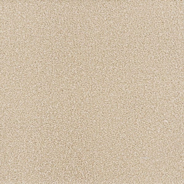 Home Decorators Collection Spicework I  - Highgate - Beige 40 oz. SD Polyester Texture Installed Carpet