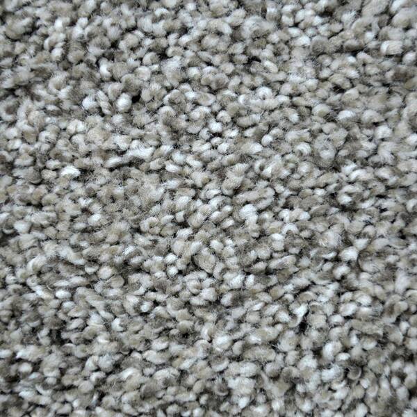 Lifeproof Carpet Sample - True Classic II - Color Crosby Texture 8 in. x 8 in.