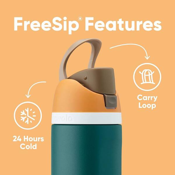  Owala FreeSip Insulated Stainless Steel Water Bottle with Straw  for Sports and Travel, BPA-Free, 32oz, Iced Breeze : Sports & Outdoors