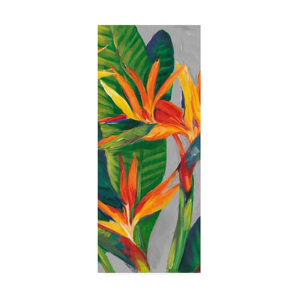 Trademark Fine Art 8 in. x 19 in. Tim Otoole Bird Of Paradise Triptych Ii Canvas Unframed Photography Wall Art