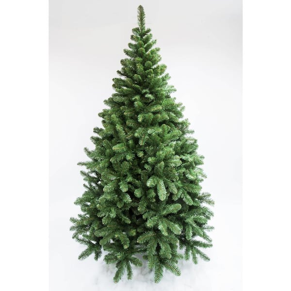 6-7 ft. Freshly Cut Nordmann Fir Live Christmas Tree (Real, Natural, Oregon-Grown) Extra Glossy Long-Lasting Foliage