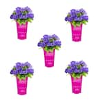 1 Qt. Lavender Sky Blue Easy Wave Petunia Annual Plant with Purple Flowers (5-Pack)