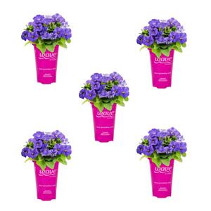 1 Qt. Lavender Sky Blue Easy Wave Petunia Annual Plant with Purple Flowers (5-Pack)