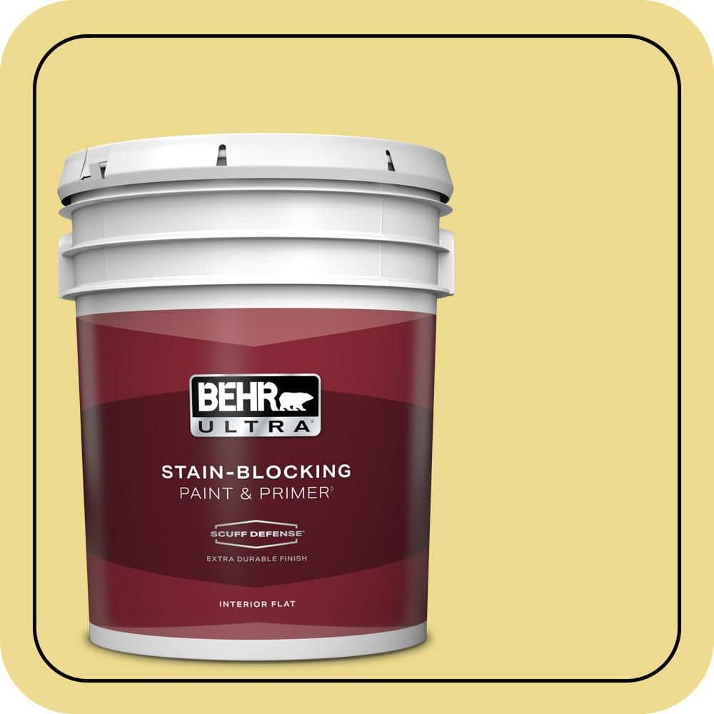 5 gal. #P320-4 Pineapple Crush Extra Durable Flat Interior Paint & Primer price history on PriceWatchPro
