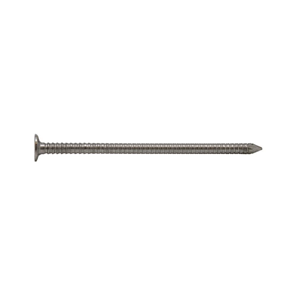 2-1/2 in. 8D 316 Stainless Steel Ring Shank Siding Nail 5 lbs. (980-Count)